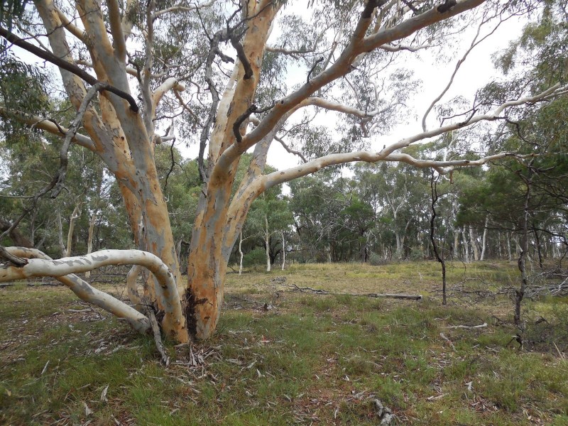 561 Mount Baw Baw Road, Goulburn NSW 2580