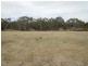 561 Mount Baw Baw Road, Goulburn NSW 2580