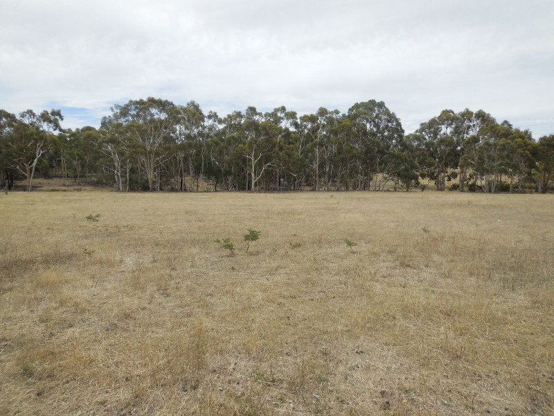 561 Mount Baw Baw Road, Goulburn NSW 2580