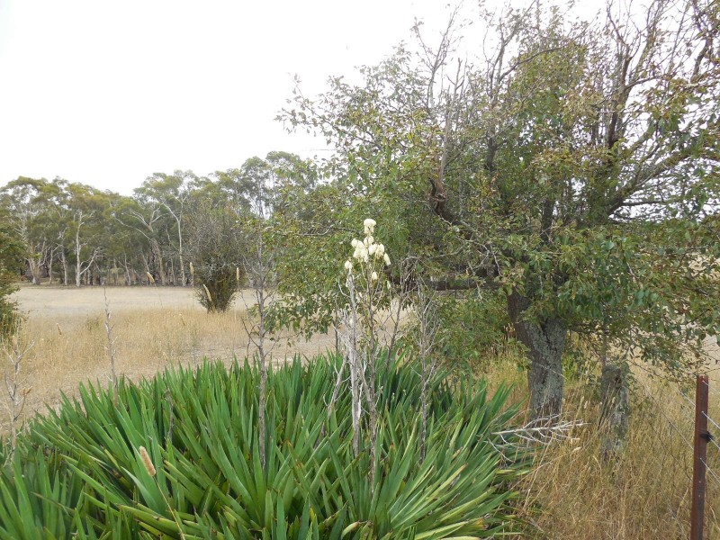 561 Mount Baw Baw Road, Goulburn NSW 2580