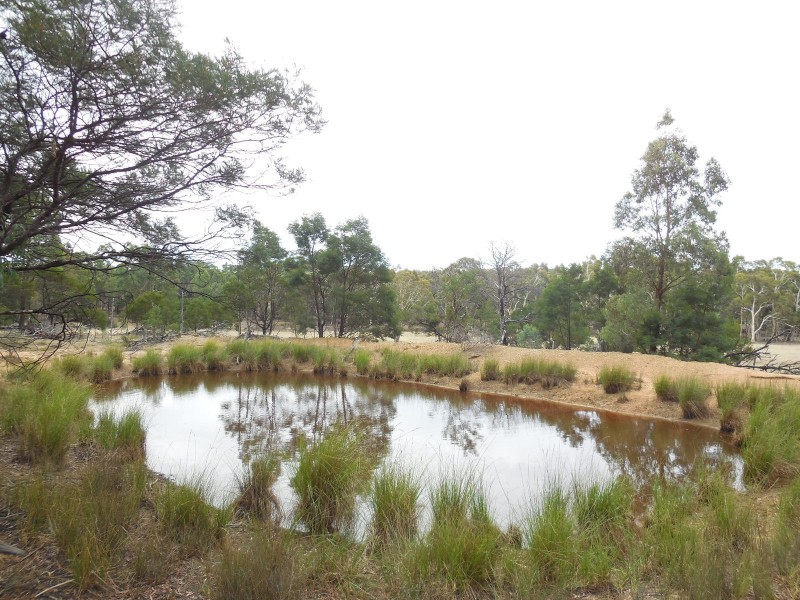 561 Mount Baw Baw Road, Goulburn NSW 2580