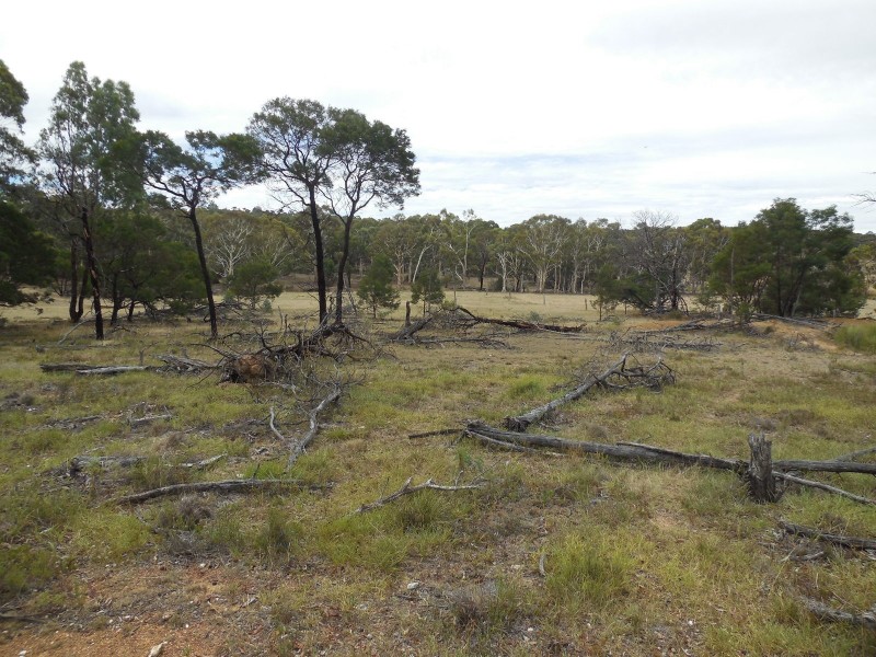 561 Mount Baw Baw Road, Goulburn NSW 2580