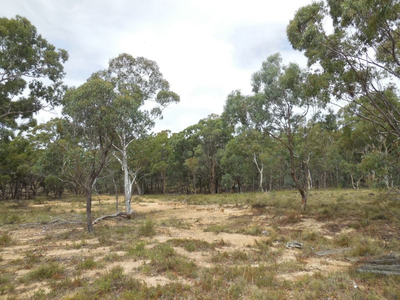 561 Mount Baw Baw Road, Goulburn NSW 2580