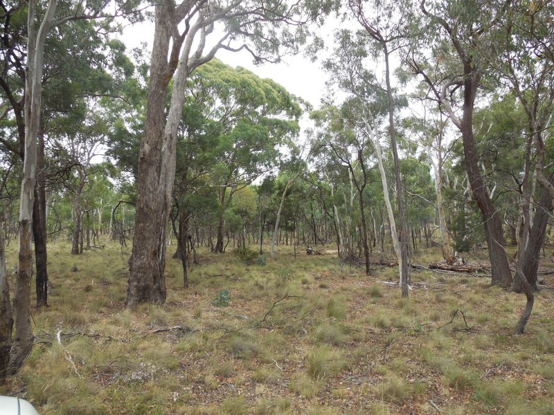 561 Mount Baw Baw Road, Goulburn NSW 2580