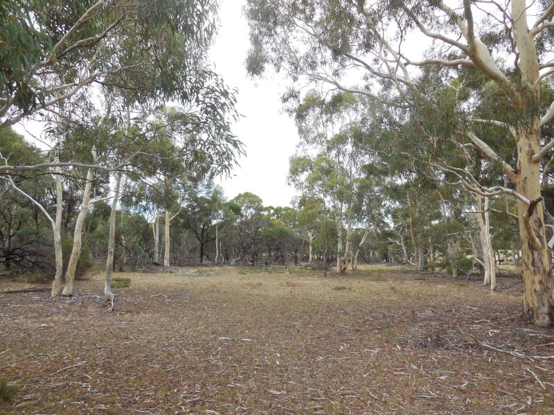 561 Mount Baw Baw Road, Goulburn NSW 2580