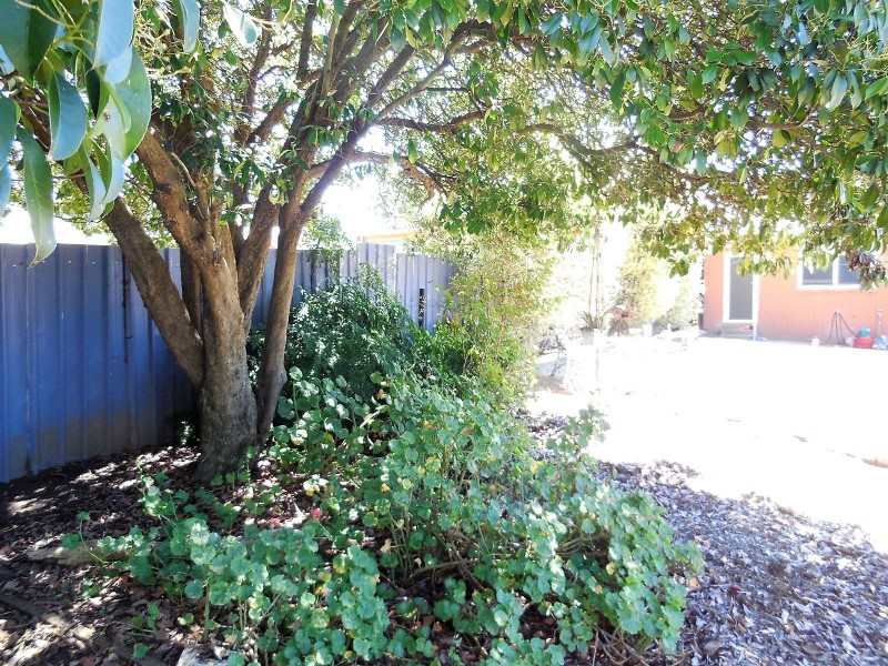 18 Wyatt Street, Goulburn NSW 2580