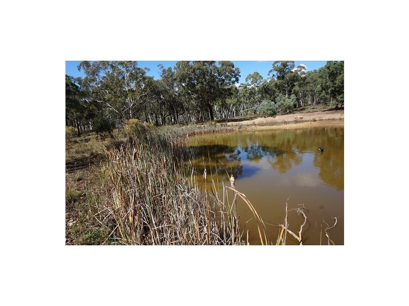 524 Mount Baw Baw Road, Goulburn NSW 2580