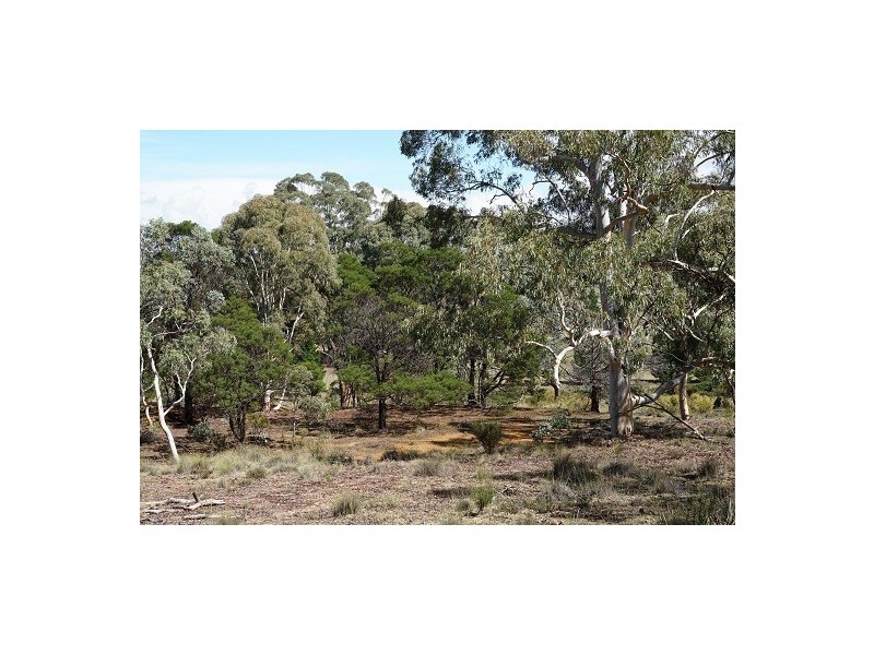 524 Mount Baw Baw Road, Goulburn NSW 2580