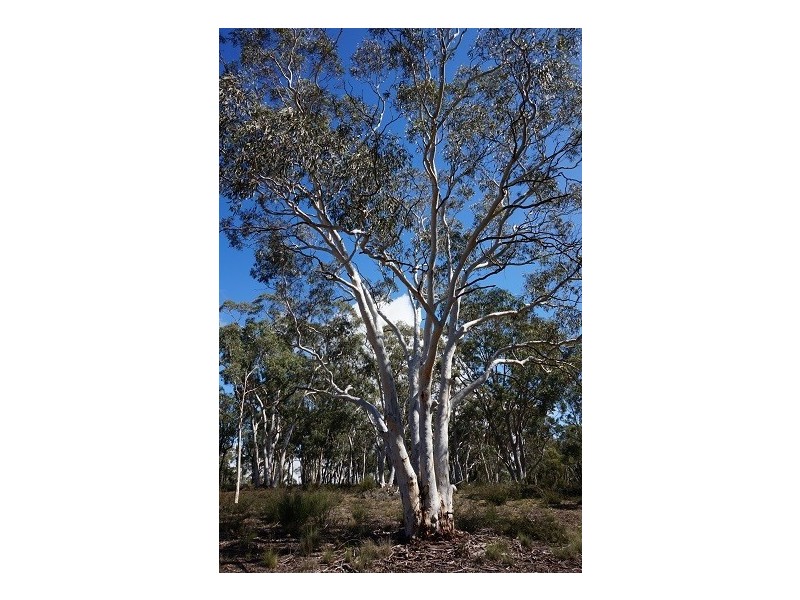 524 Mount Baw Baw Road, Goulburn NSW 2580