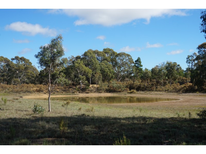 288 Annies Lane, Middle Arm via, Goulburn NSW 2580