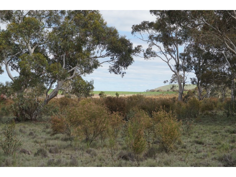 288 Annies Lane, Middle Arm via, Goulburn NSW 2580