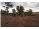 Lot 3,  Sunninghill Road, Windellama NSW 2580