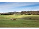 67 Sandy Creek Road, Parkesbourne NSW 2580