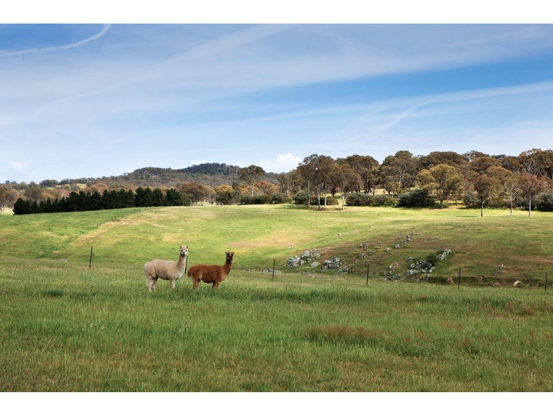 67 Sandy Creek Road, Parkesbourne NSW 2580