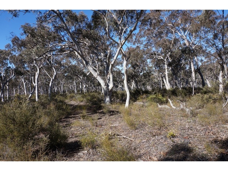 180 Nerrimunga Creek Road, Windellama NSW 2580