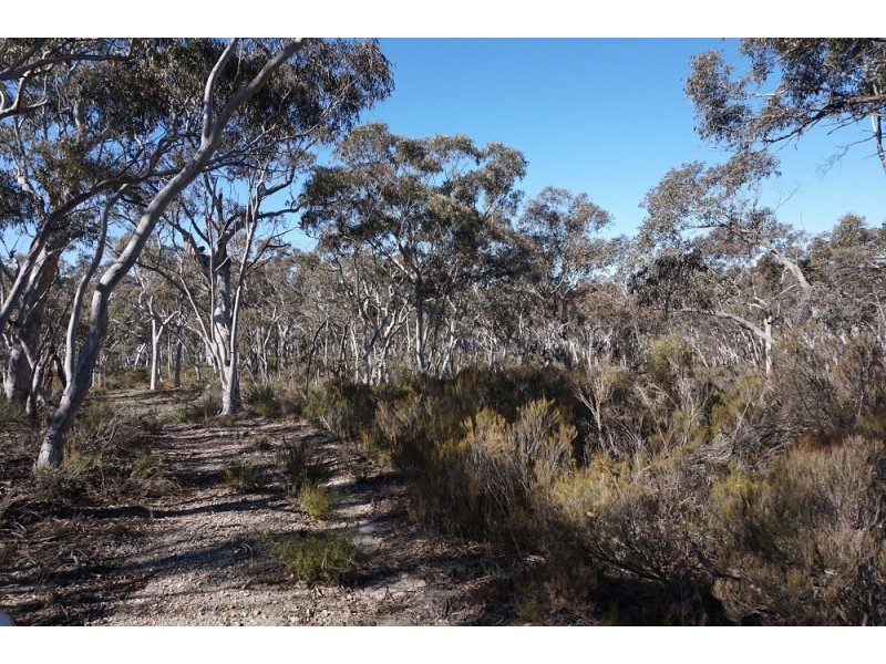 180 Nerrimunga Creek Road, Windellama NSW 2580