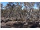 180 Nerrimunga Creek Road, Windellama NSW 2580