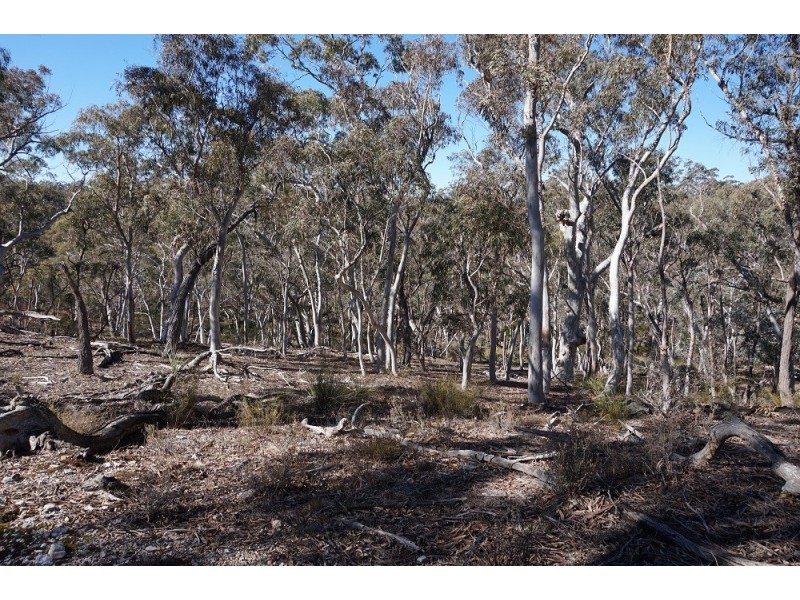 180 Nerrimunga Creek Road, Windellama NSW 2580