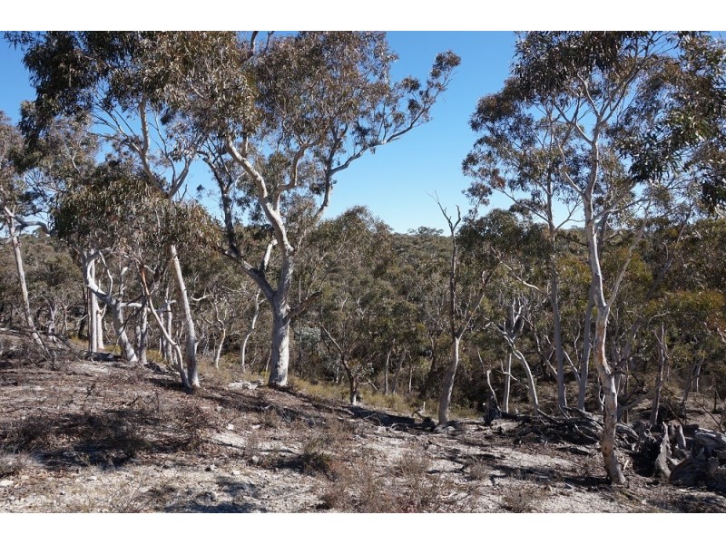 180 Nerrimunga Creek Road, Windellama NSW 2580