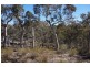 180 Nerrimunga Creek Road, Windellama NSW 2580