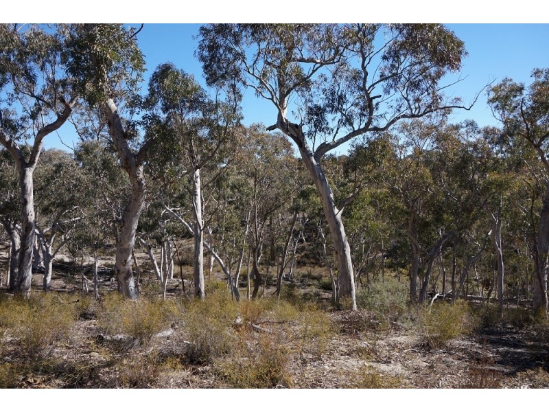 180 Nerrimunga Creek Road, Windellama NSW 2580