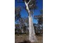180 Nerrimunga Creek Road, Windellama NSW 2580