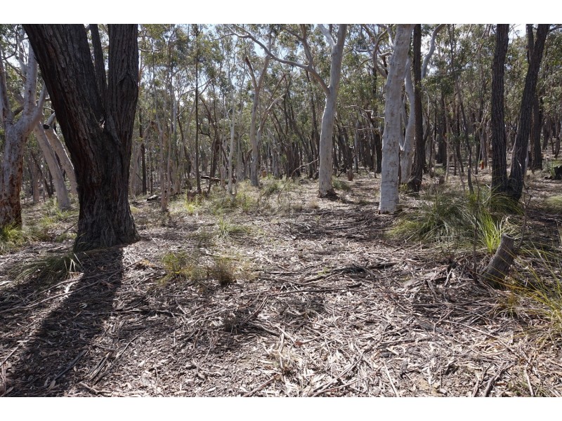 456 Carrick Road, Goulburn NSW 2580