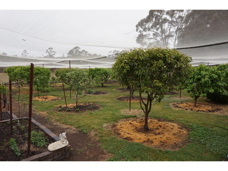 22 Sunninghill Road, Windellama, via, Goulburn NSW 2580