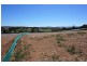 Lot 323,  Snowgums Drive, Snowgums Estate off Clyde Street, Goulburn NSW 2580