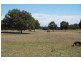 508 Dewsberry’s Lane, Lake Bathurst, via, Goulburn NSW 2580