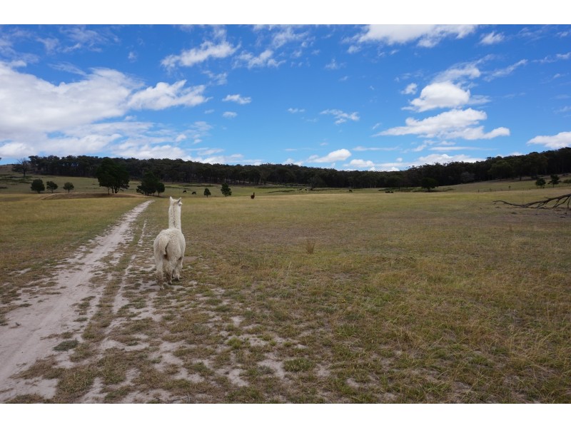 508 Dewsberry’s Lane, Lake Bathurst, via, Goulburn NSW 2580