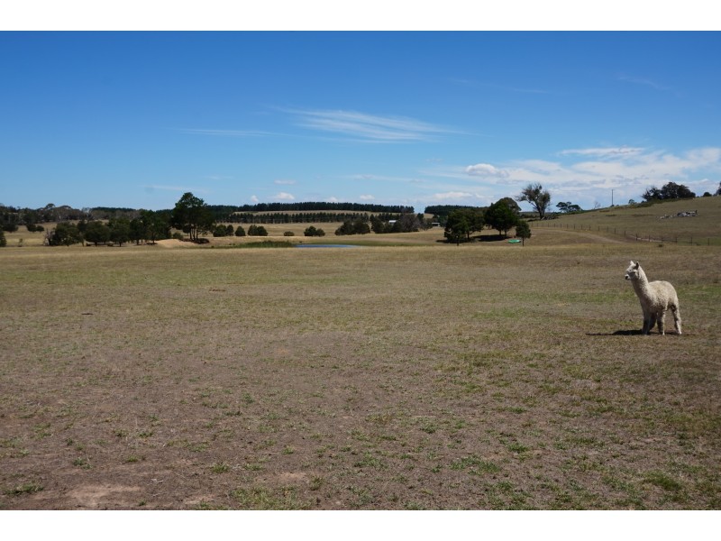 508 Dewsberry’s Lane, Lake Bathurst, via, Goulburn NSW 2580