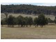 508 Dewsberry’s Lane, Lake Bathurst, via, Goulburn NSW 2580