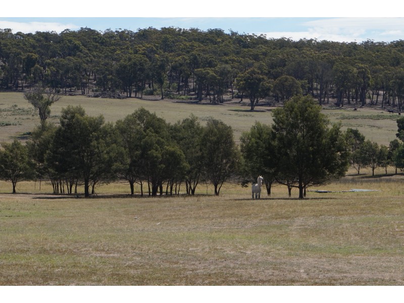 508 Dewsberry’s Lane, Lake Bathurst, via, Goulburn NSW 2580