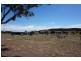 508 Dewsberry’s Lane, Lake Bathurst, via, Goulburn NSW 2580