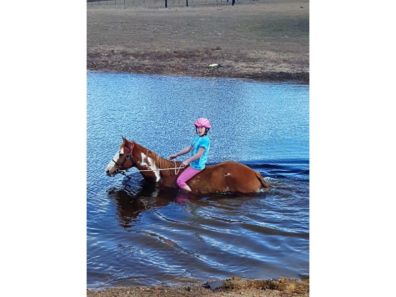 508 Dewsberry’s Lane, Lake Bathurst, via, Goulburn NSW 2580