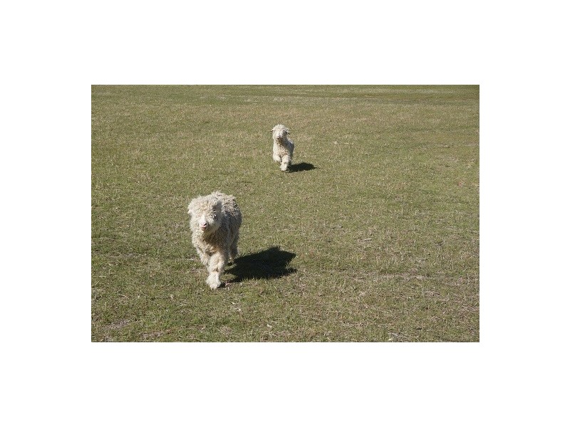 765 Mountain Ash Road, Goulburn NSW 2580