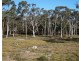 127 Blakes Boulevard, BUNGONIA, via, Goulburn NSW 2580