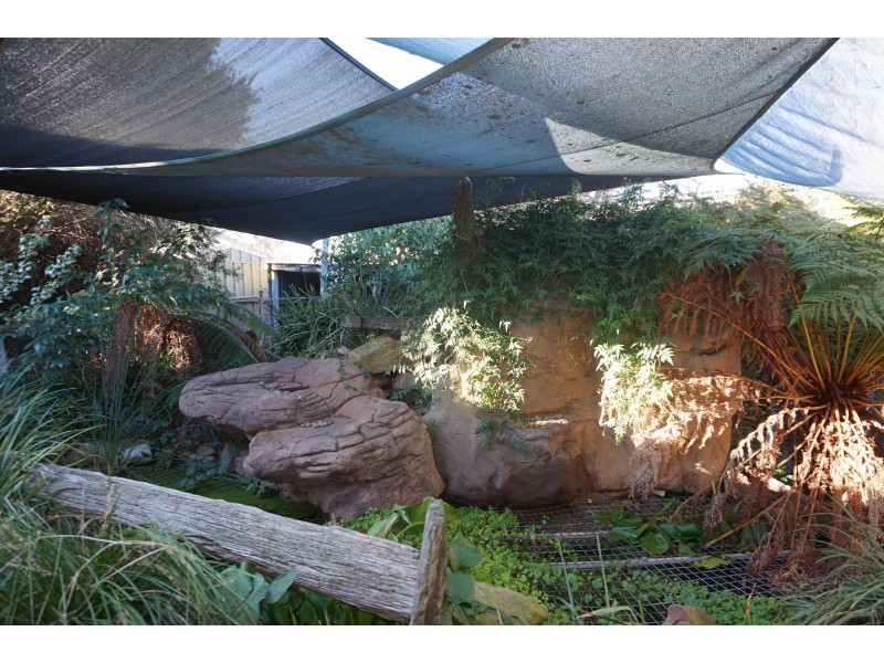 97 Albert Street, Goulburn NSW 2580