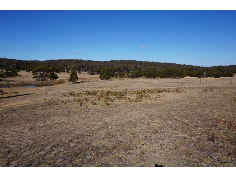 305 Dewsburys Lane, Quialigo via, Goulburn NSW 2580