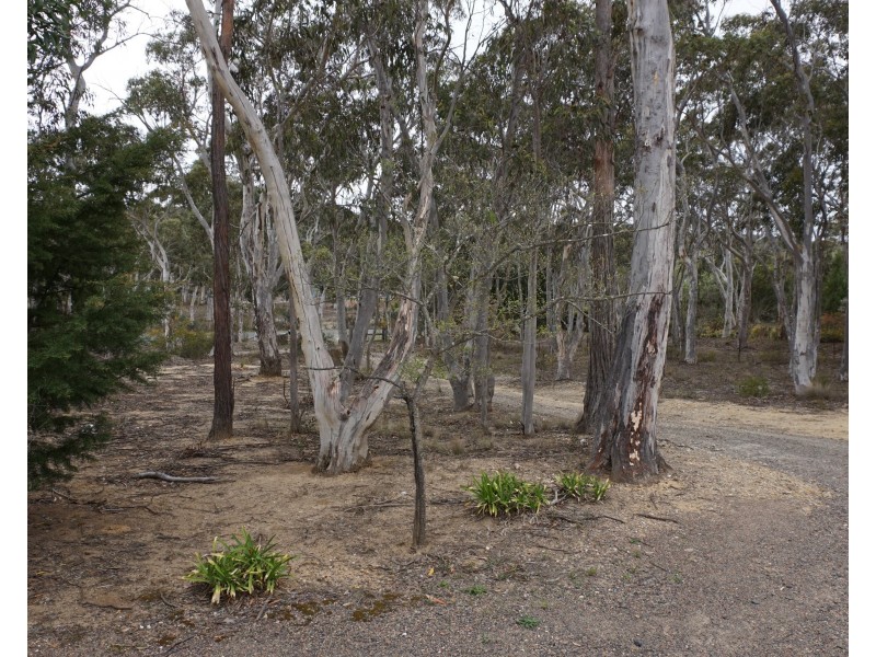 19 Banksia Avenue, Tallong NSW 2579