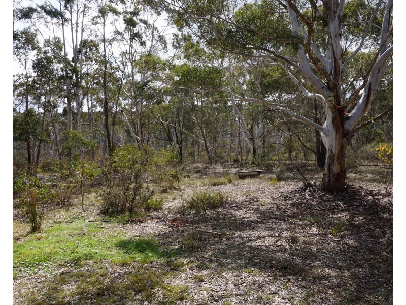 46 Scribbly Gum Avenue, Tallong NSW 2579