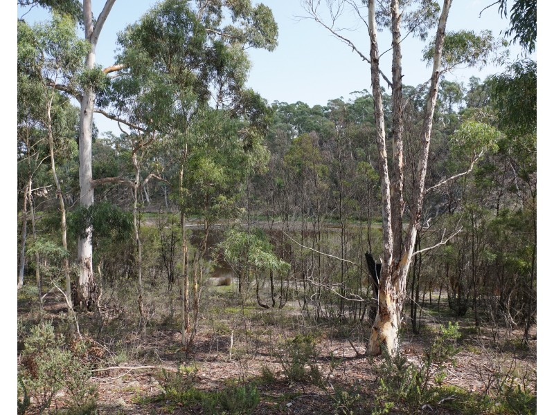 327 Wolgon Road, Oallen via, Goulburn NSW 2580