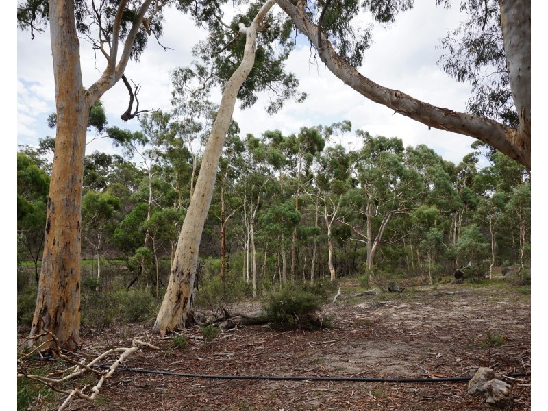 327 Wolgon Road, Oallen via, Goulburn NSW 2580