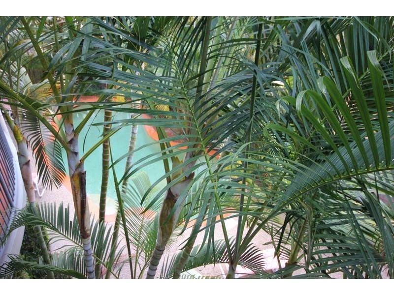 9/21 WOODROFFE AVENUE, Main Beach QLD 4217