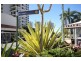 53 Cronin Avenue, Main Beach QLD 4217