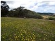 Lot 13, 13 Parawa Road, Torrens Vale SA 5203