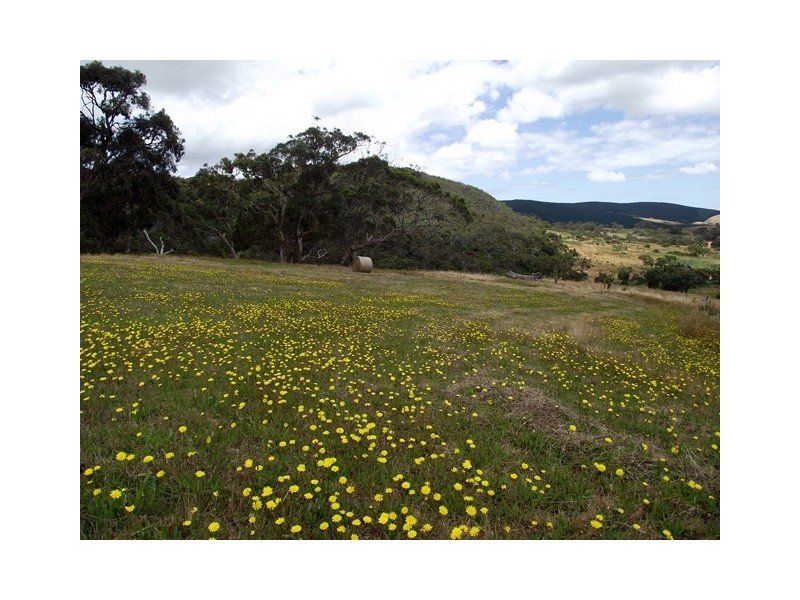 Lot 13, 13 Parawa Road, Torrens Vale SA 5203