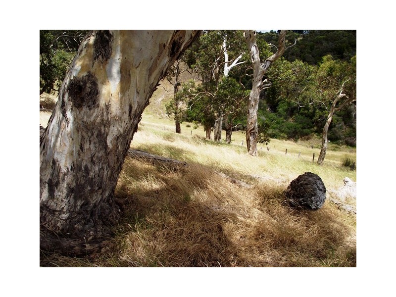 Lot 13, 13 Parawa Road, Torrens Vale SA 5203