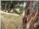 Lot 13, 13 Parawa Road, Torrens Vale SA 5203